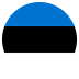 Flag 12